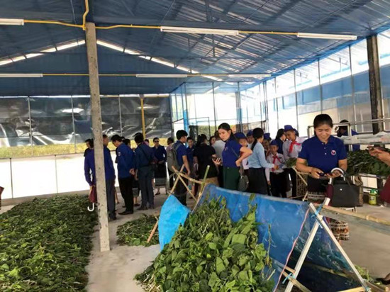 1660640122370244.jpg 苏豪股份技术专家在老挝进行技术指导_副本.jpg